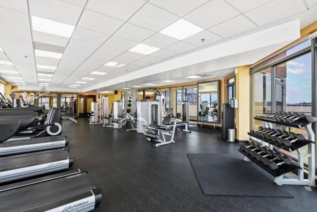 Incredible Apartment With Rooftop In Pentagon City Arlington Exteriör bild
